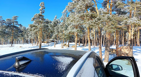 Tsentral'nyy Stadion