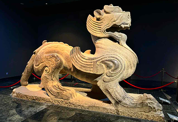 洛阳博物馆第 16 张图片