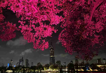 玄武湖景区第 37 张图片
