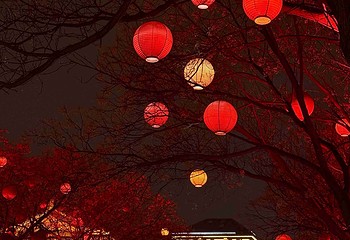 大唐不夜城第 178 张图片