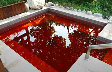 大秦温泉第 35 张图片