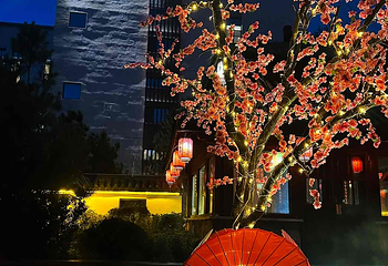 西部长青温泉谷第 10 张图片