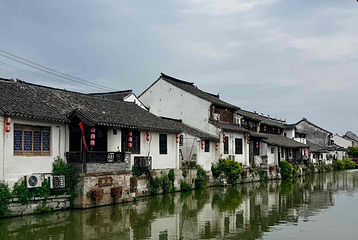 枫泾古镇第 37 张图片
