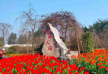 花舞人间第 95 张图片
