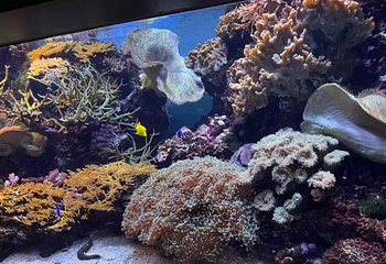 海洋世界海之中道第 35 张图片