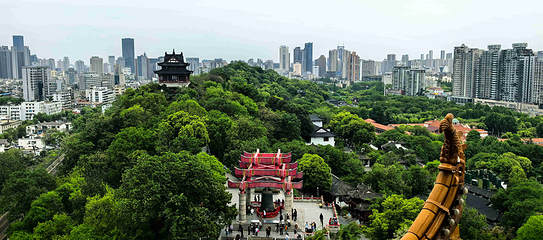 黄鹤楼第 87 张图片