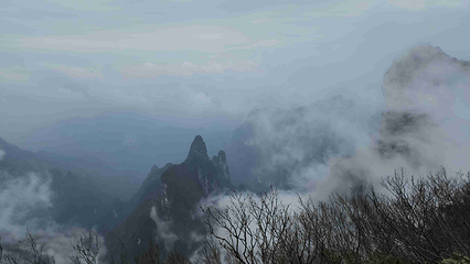 天门山国家森林公园第 347 张图片