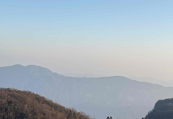 天门山国家森林公园第 350 张图片