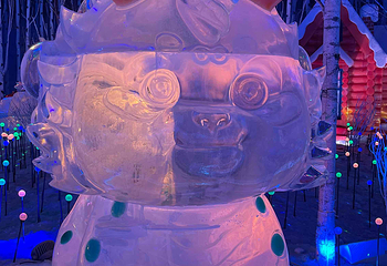 哈尔滨冰雪大世界第 445 张图片