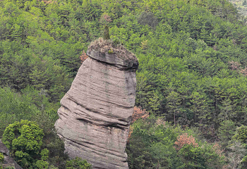 冠豸山景区第 27 张图片