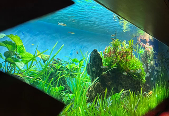 太平洋海底世界第 31 张图片