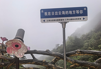 三清山风景区第 231 张图片