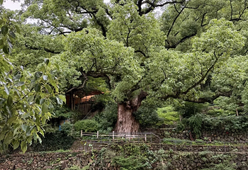 石舍村第 44 张图片