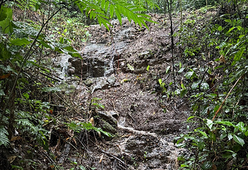 基诺山雨林徒步第 34 张图片