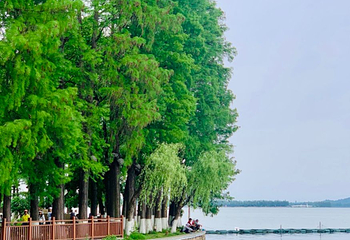 东湖生态旅游风景区第 24 张图片
