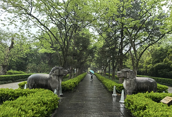 钟山风景名胜区第 61 张图片