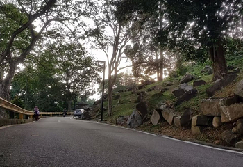 皇家山第 25 张图片
