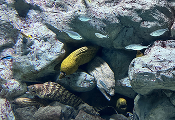 济州岛Aqua Planet水族馆第 76 张图片