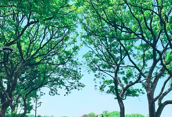 石湖景区第 117 张图片