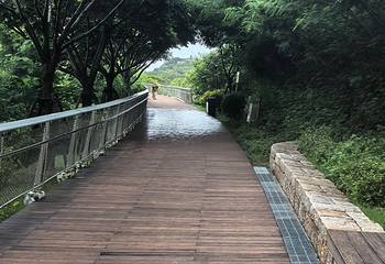 厦门园林植物园第 172 张图片