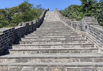 天门山国家森林公园第 404 张图片