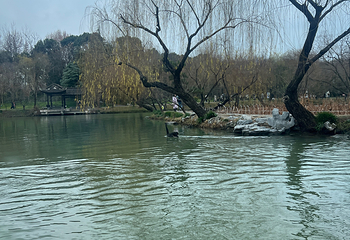 瘦西湖第 408 张图片