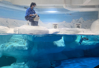 上海海洋水族馆第 210 张图片