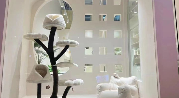 没猫饼猫咖猫舍(南浔吾悦广场店)