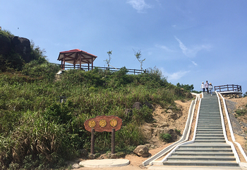 山茶半岛第 32 张图片