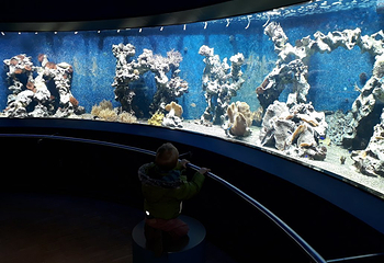 Loebbecke-Museum und Aquazoo第 3 张图片