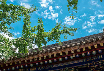 法门文化景区第 38 张图片