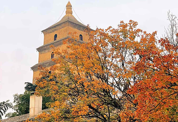 大雁塔第 41 张图片