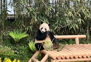 爱宝乐园第 108 张图片