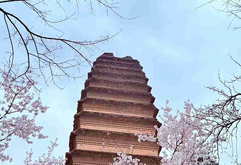 小雁塔遗址公园第 56 张图片