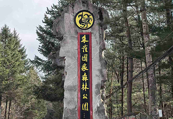 朱雀国家森林公园第 24 张图片