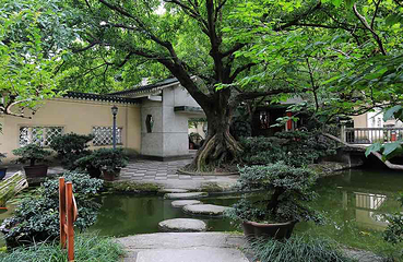 鹅岭公园第 47 张图片