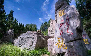 龙潭公园第 19 张图片