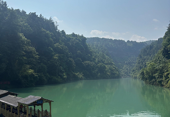 张家界大峡谷第 115 张图片