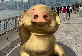星光大道第 58 张图片