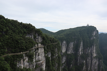 天门山国家森林公园第 355 张图片
