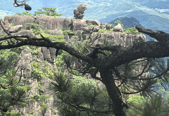 黄山风景区第 316 张图片