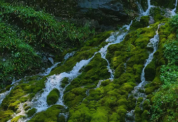 北山国家森林公园第 37 张图片