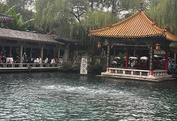 趵突泉景区第 234 张图片