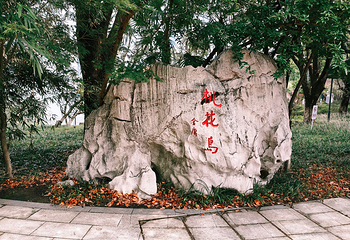 金鸡湖第 116 张图片