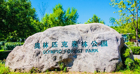 奥林匹克森林公园第 18 张图片