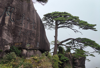 黄山风景区第 184 张图片