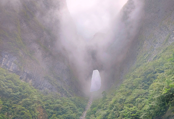 天门山国家森林公园第 448 张图片