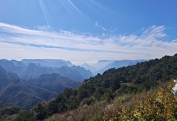 王莽岭风景区第 68 张图片