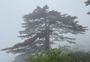 黄山风景区第 489 张图片