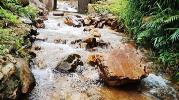 大旺大南山森林文化公园